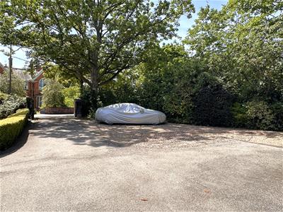 Picture 25